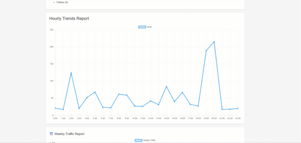 SMM Panel Analytics Dashboard – Visitor Tracking + Service Insights - Image 5